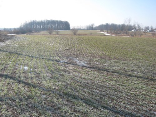 Property photo 14 - 1900's All Brick Home, Metal Frame Barn on 3.42 Acres